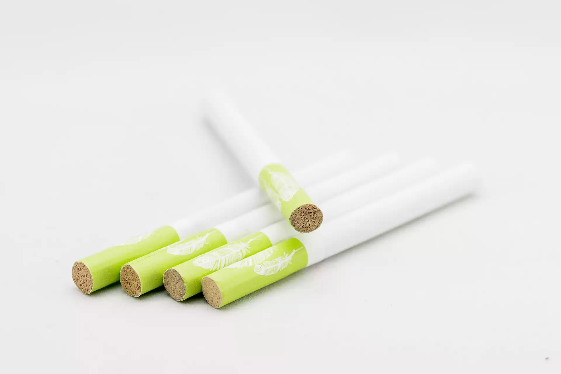 The Ultimate Guide to Doob Tubes